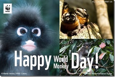World Monkey Day